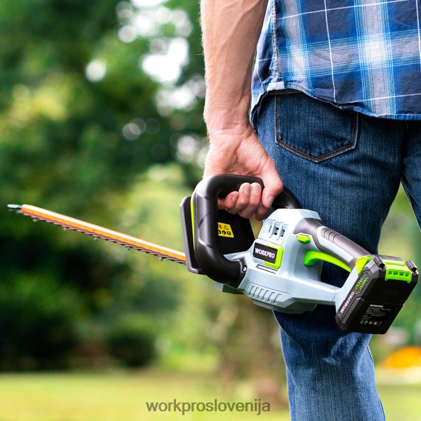 WORKPRO 20 V akumulatorske škarje za živo mejo z rezili z dvojnim delovanjem električno vrtno orodje 2,0 ah baterija in 1 urni hitri polnilnik sta priložena 4V0B84295 orodje morden